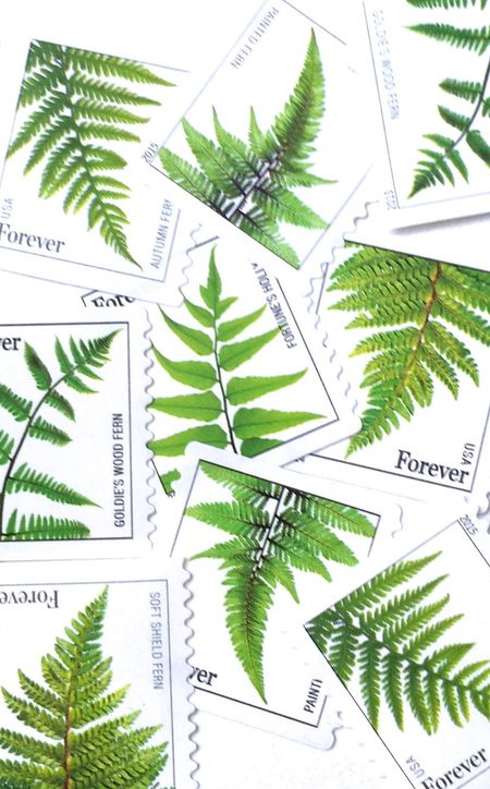 100 Green Botanical Forever Stamps // Forest Fern Plant Postage Stamps For Mailing